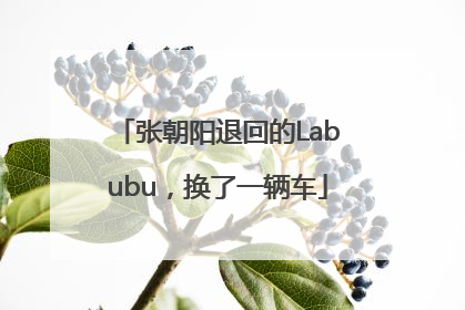 张朝阳退回的Labubu，换了一辆车